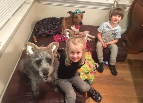 Buteyko Breathing Helped These Children