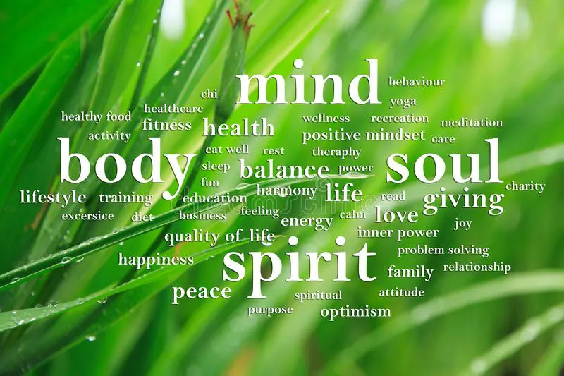 Wellness word cloud over dewy green grass
