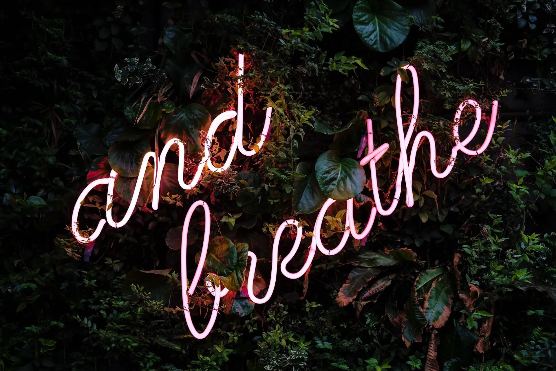 Pink neon "and breathe" sign on foliage