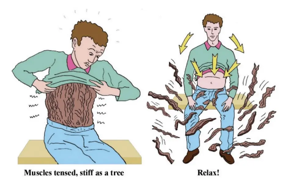 Relaxation of the diaphragm is essential for anyone who wishes to improve their health