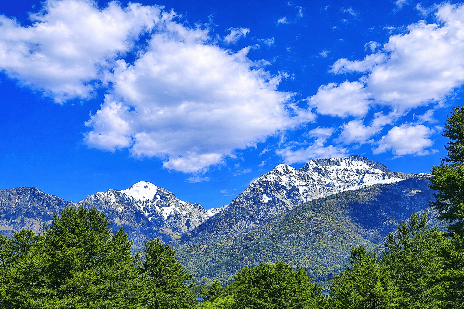 The view from the Office