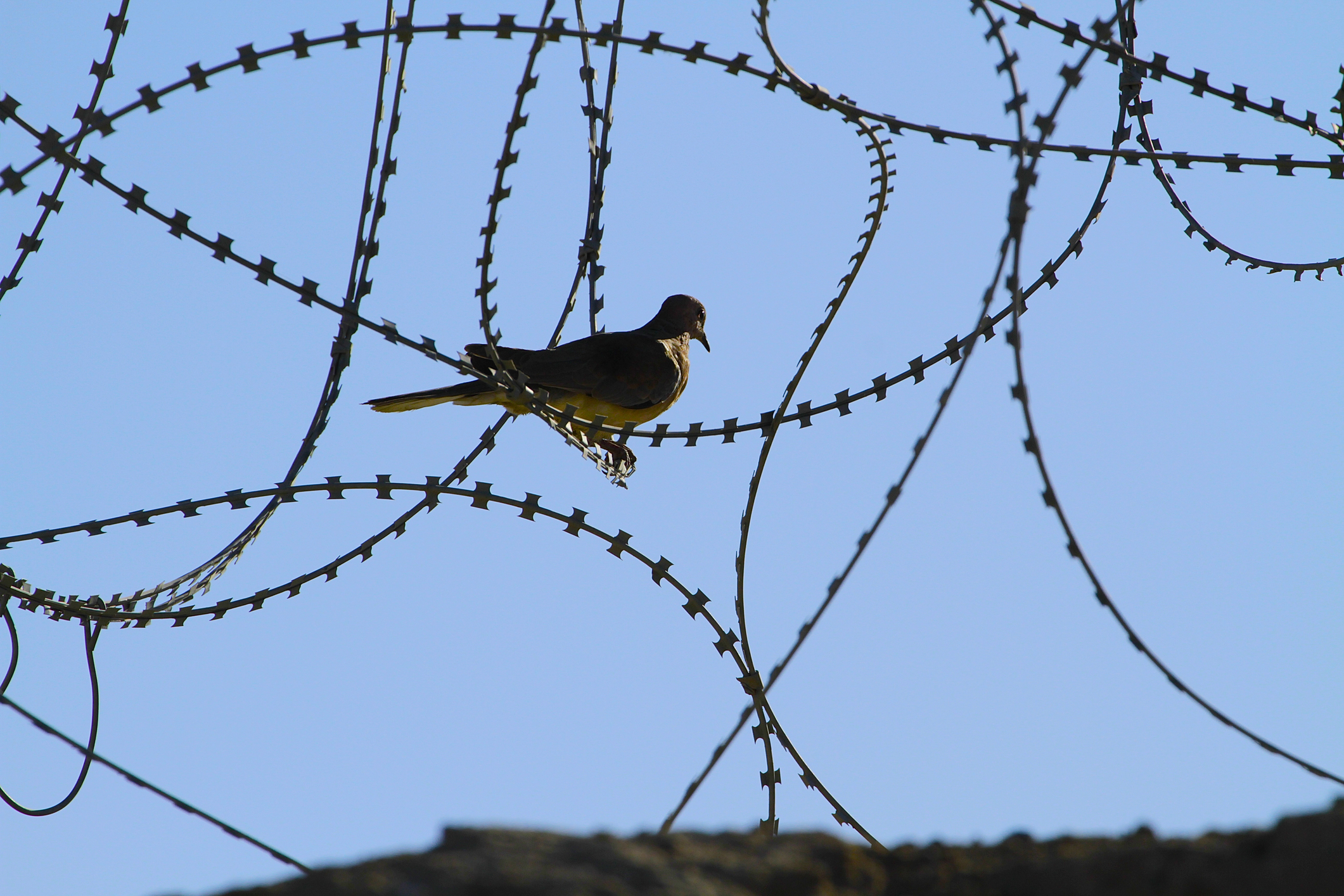 Is the War Making You Breathe More? Why Stress, Media, and Uncertainty Are Quietly Changing the Way You Breathe
