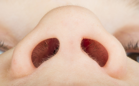 Left and right nostrils and their effect on breathing