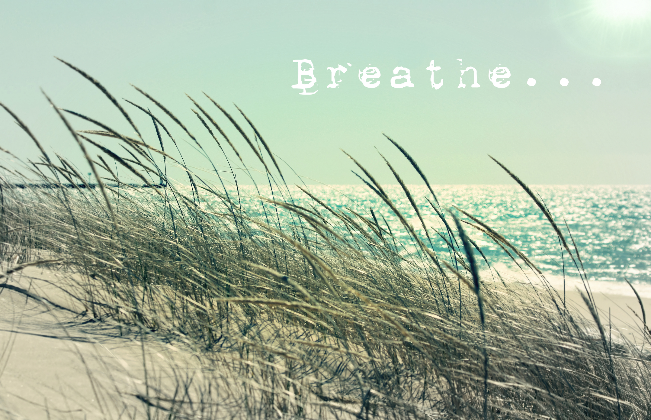 Beach dune grasses and ocean with 'Breathe'