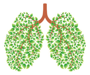 Buteyko breathing method is not a breathing technique. 